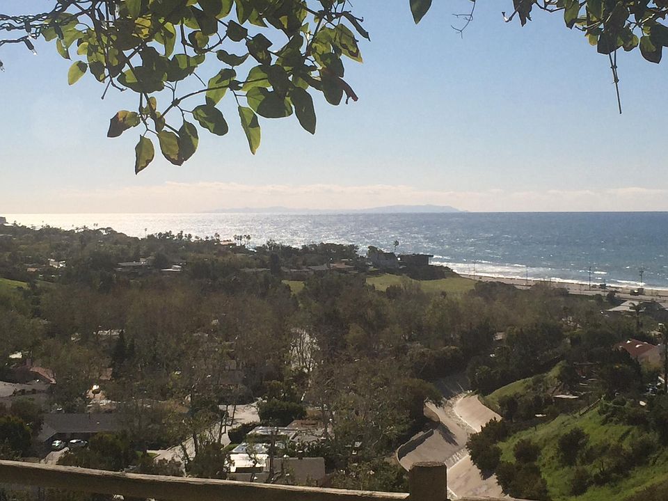 livingroom view