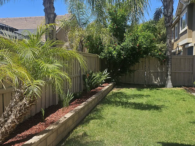 Back yard.