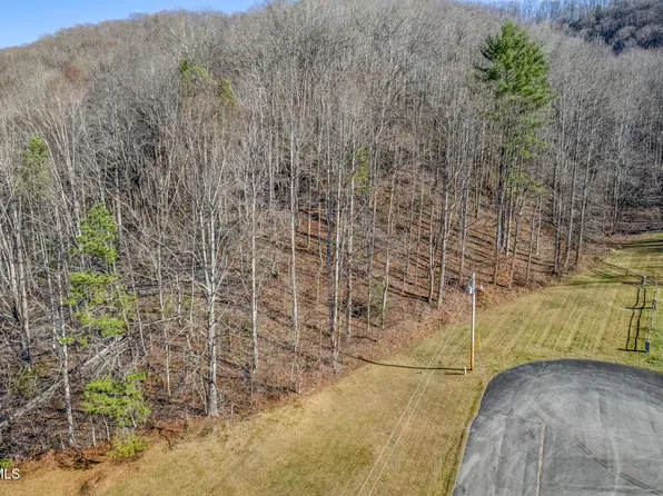 117 Buckner Dr, Roan Mountain, TN 37687