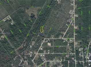 1403 Rutledge Ave, Lake Placid, FL 33852