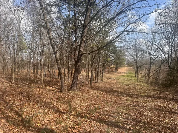 County Road 332 9/10, Eureka Springs, AR 72632