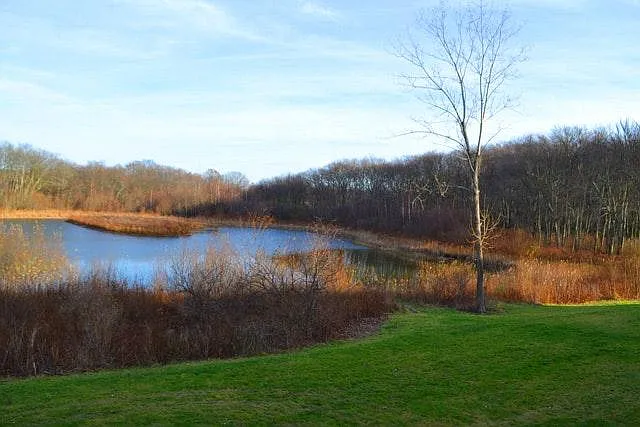 9 Springhouse Trl — Photo 13