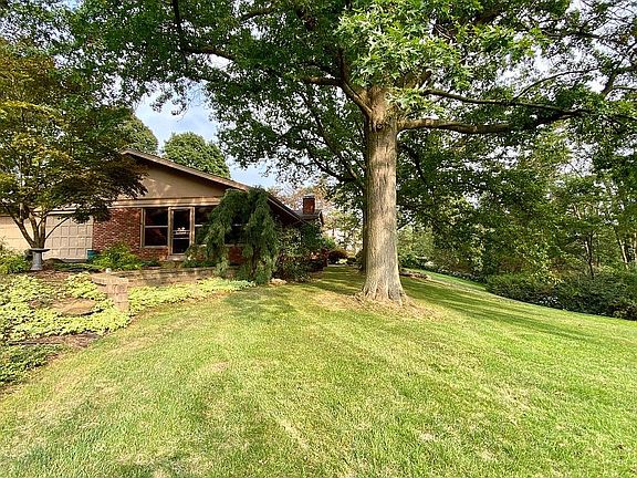 Private backyard with woods