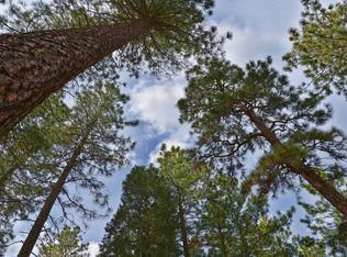 29670 Westmoore Rd, Shingletown, CA 96088