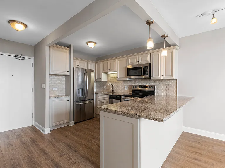 1355 N Sandburg Ter #1403D — Photo 6