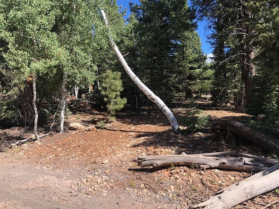 1st image of 705 E Whispering Pines Dr