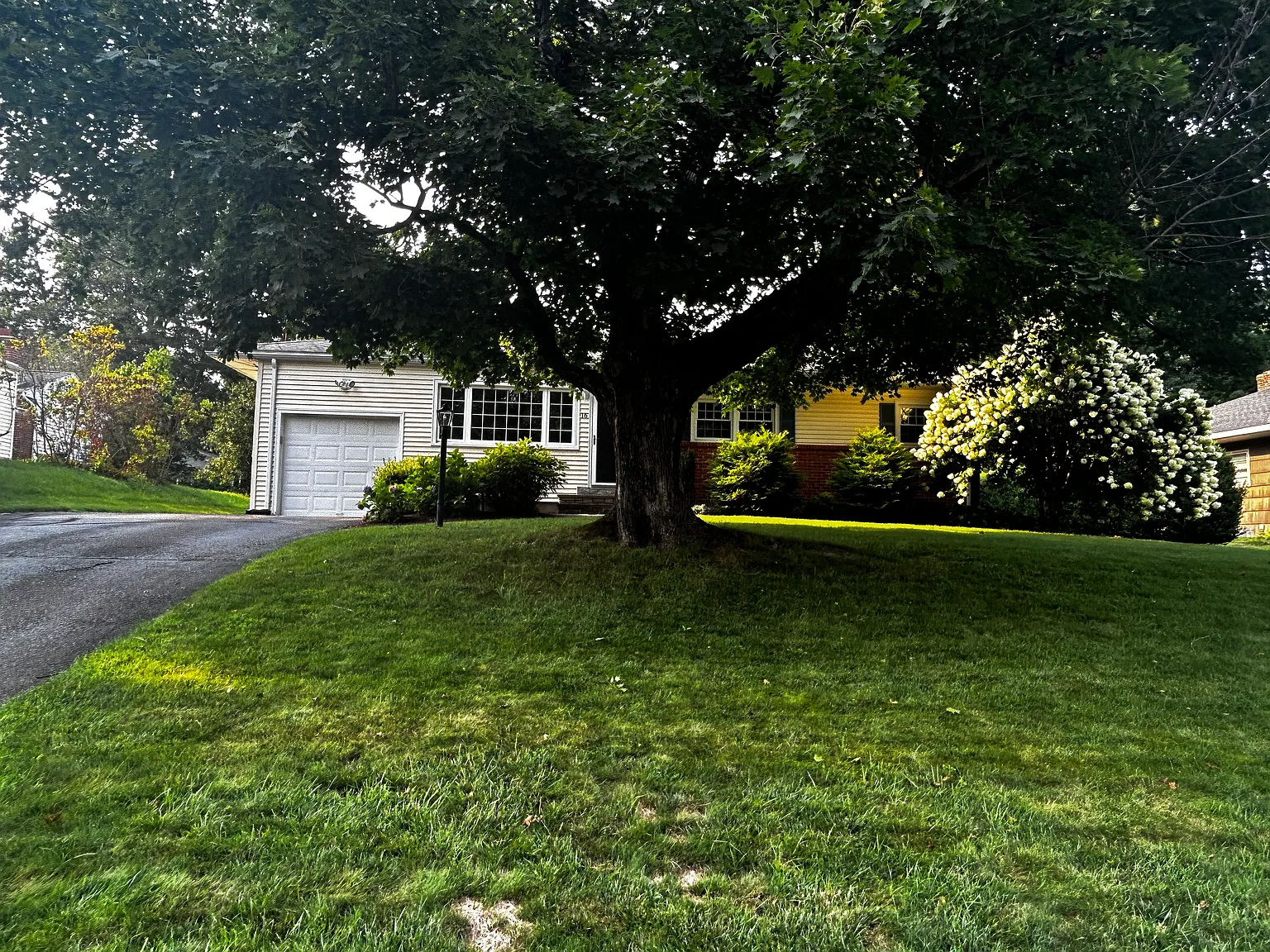 4 bed, 2127 sqft, $4,300 — Photo 3