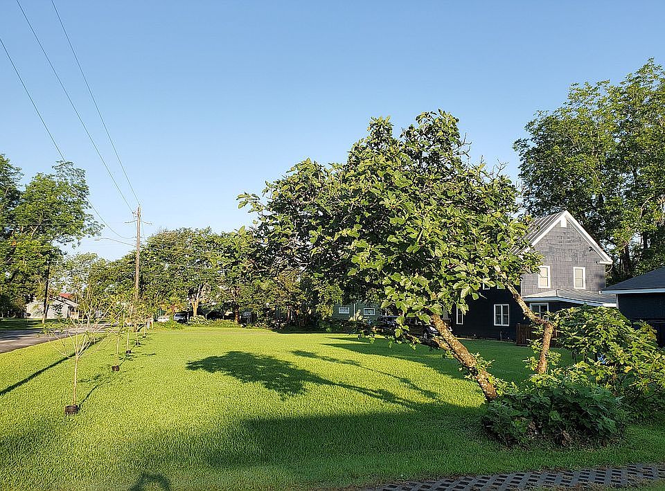 Lot looking to Neuse st.