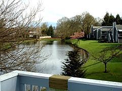 View from Living Room Deck