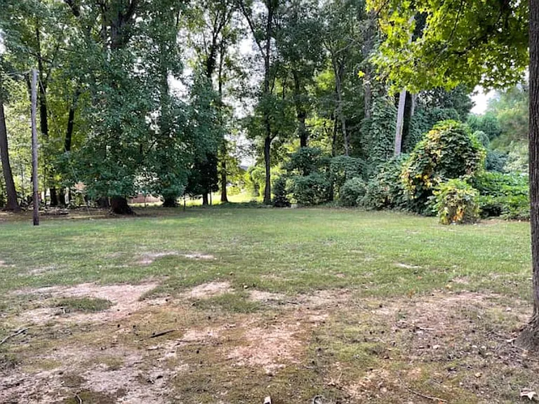 116 Parthenia Dr — Photo 26