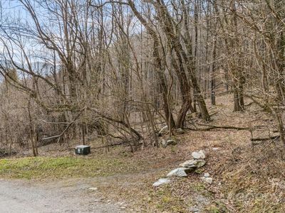 Live Oak Loop #93/95, Waynesville, NC, 28785