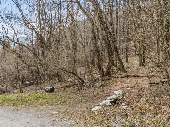 Live Oak Loop #93/95, Waynesville, NC 28785