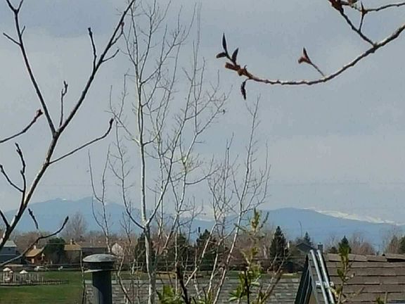 What CO Living is All About!