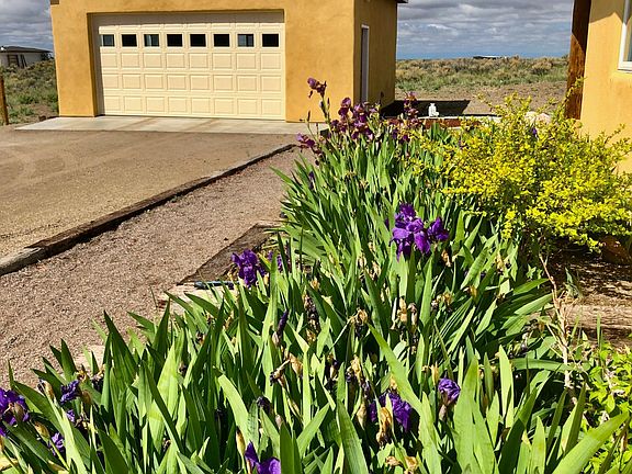 Even the 2-Car Garage has views