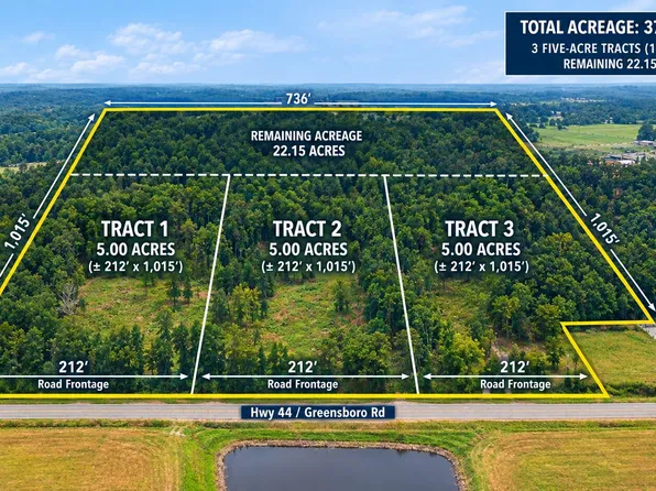 0 Greensboro Rd Tract 2, Eatonton, GA 31024