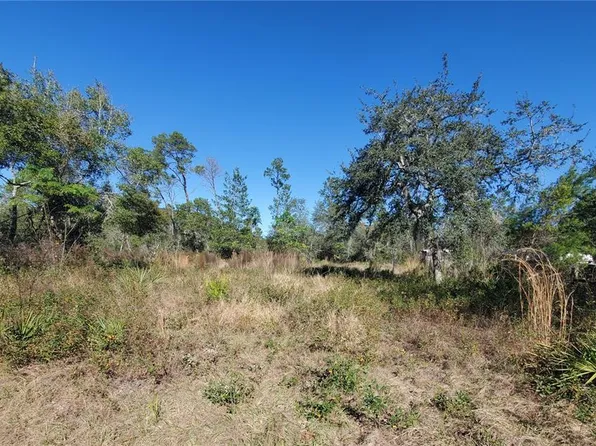 Turkey Rd Lot 11, Altoona, FL 32702