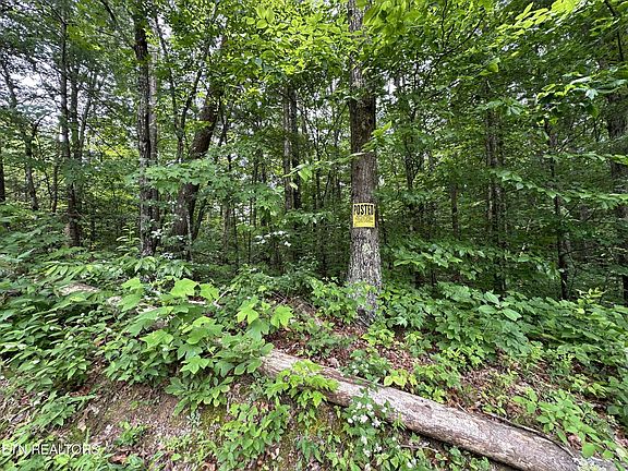 2nd image of 0 Towee Falls Rd