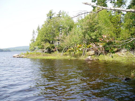 2nd image of 0 Dock Ln