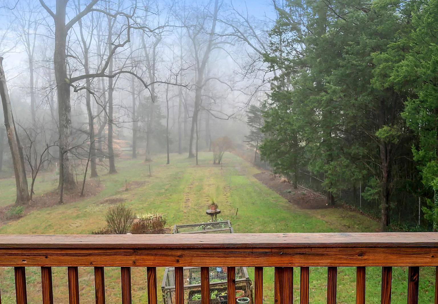 2 bed, 1115 sqft, $2,900 — Photo 3