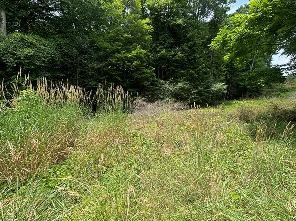 663 Saxon Rd, Glen Daniel, WV 25844