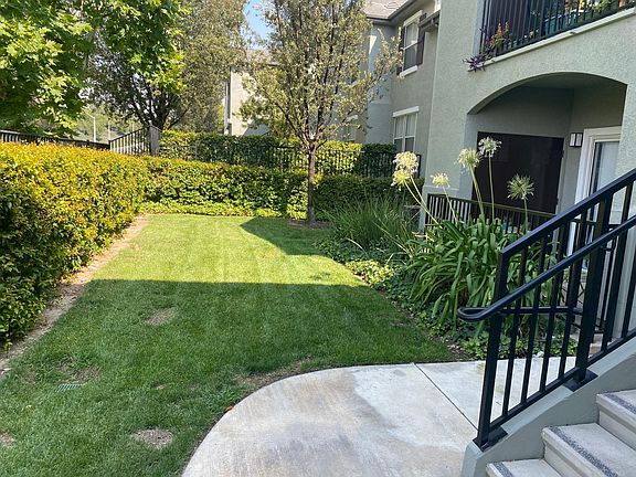 nice grass area for ur pup