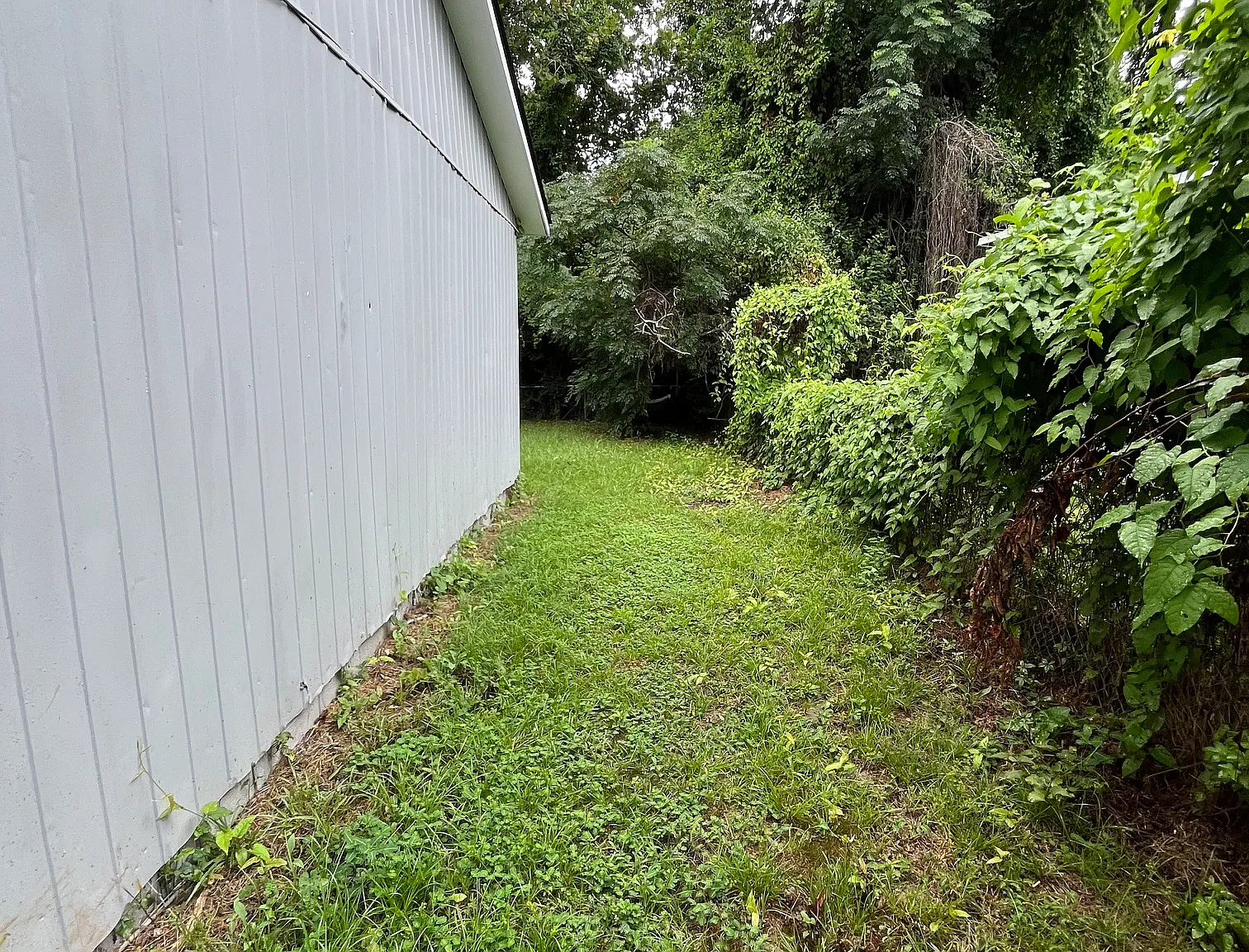 3 bed, 900 sqft, $1,425 — Photo 2