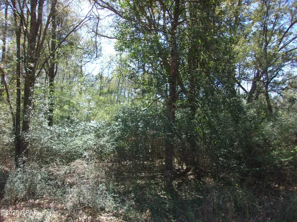 3903 Greenwood Dr, Bonifay, FL 32425