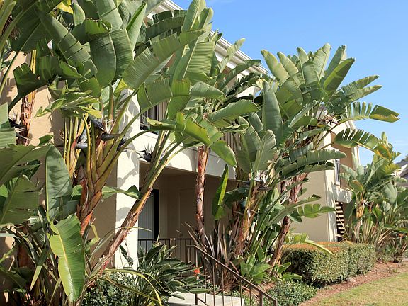 5th image of 10049 Rio San Diego Dr APT 271
