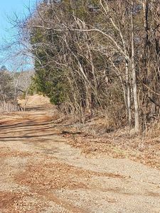 0 Graves Bridge Rd, Sandy Level, VA, 24161