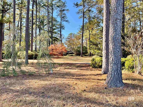 2026 County Road 27, Castleberry, AL 36432 | Zillow