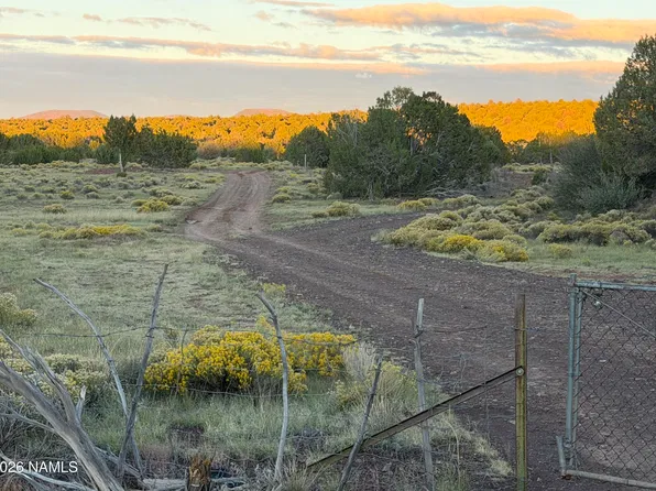 12977 N Rustler Trl, Williams, AZ 86046