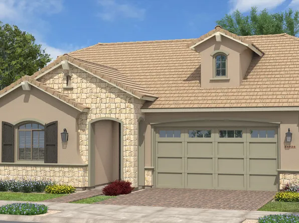 Avocado Plan, Orchard at Barney Farms