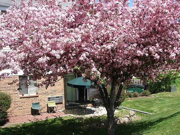 3rd image of 336 Olson Ct APT 215