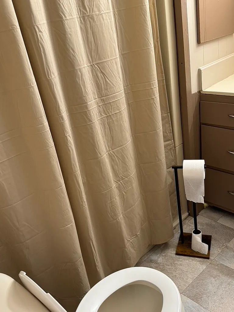 1 bed, 728 sqft, $1,100 — Photo 3