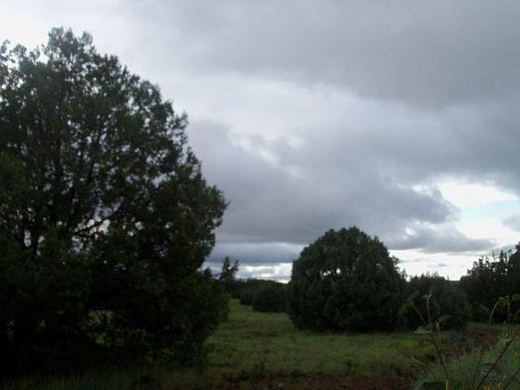 5th image of 8433 Silver Creek Dr