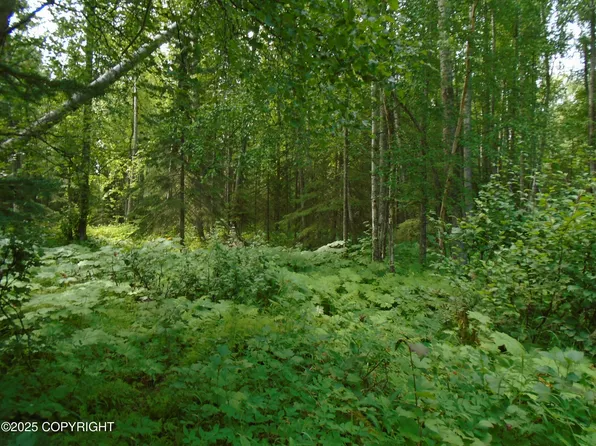 15032 W Necrason Dr, Wasilla, AK 99623