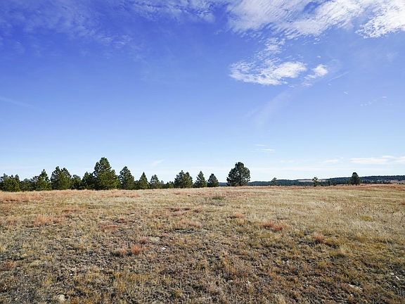 5th image of 17 Lonesome Dove St