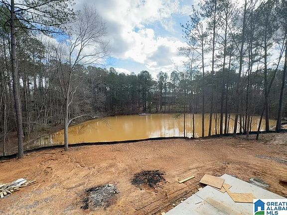 3rd image of 198 River Birch Rd