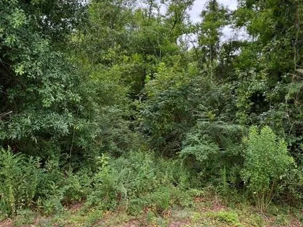 44064 Highway 445, Robert, LA 70455