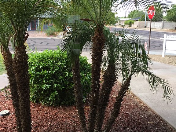 Corner lot 