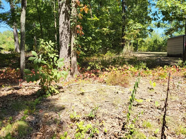 Virginia St W, Holladay, TN 38341