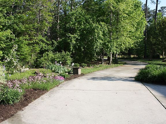 Driveway View
