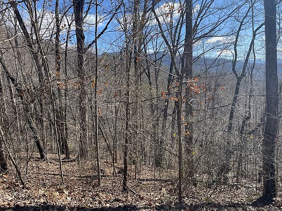 4th image of LOT-37C Ash Branch Cir