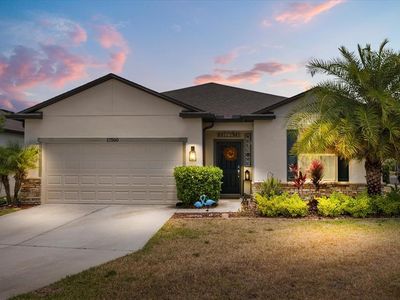17500 Butterfly Pea Ct, Clermont, FL, 34714