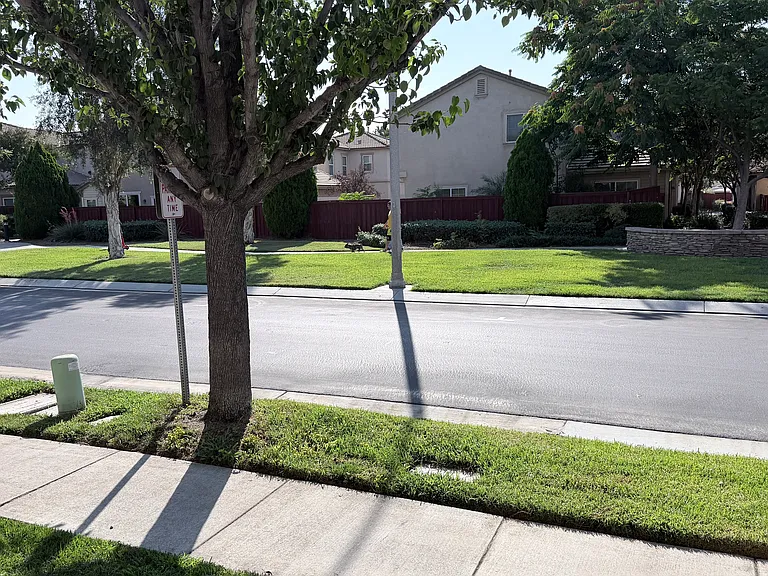 Park in front of the house