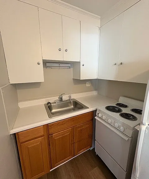 11325 Greenberry Rd #3 — Photo 4