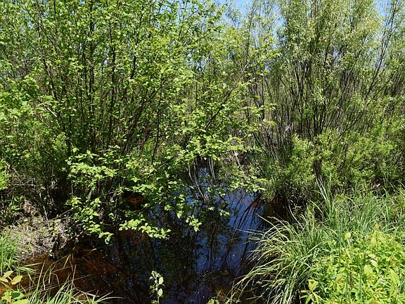 3rd image of 0 Majka Lane