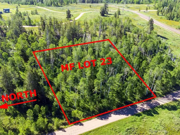 33245 Wenatchi Trail, Oak Creek, CO 80467