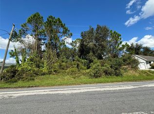 310 Cardiff Dr, Kissimmee, FL 34758