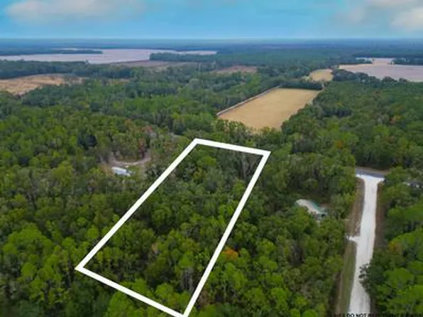 TBD NW Hwy 349, Old Town, FL 32680